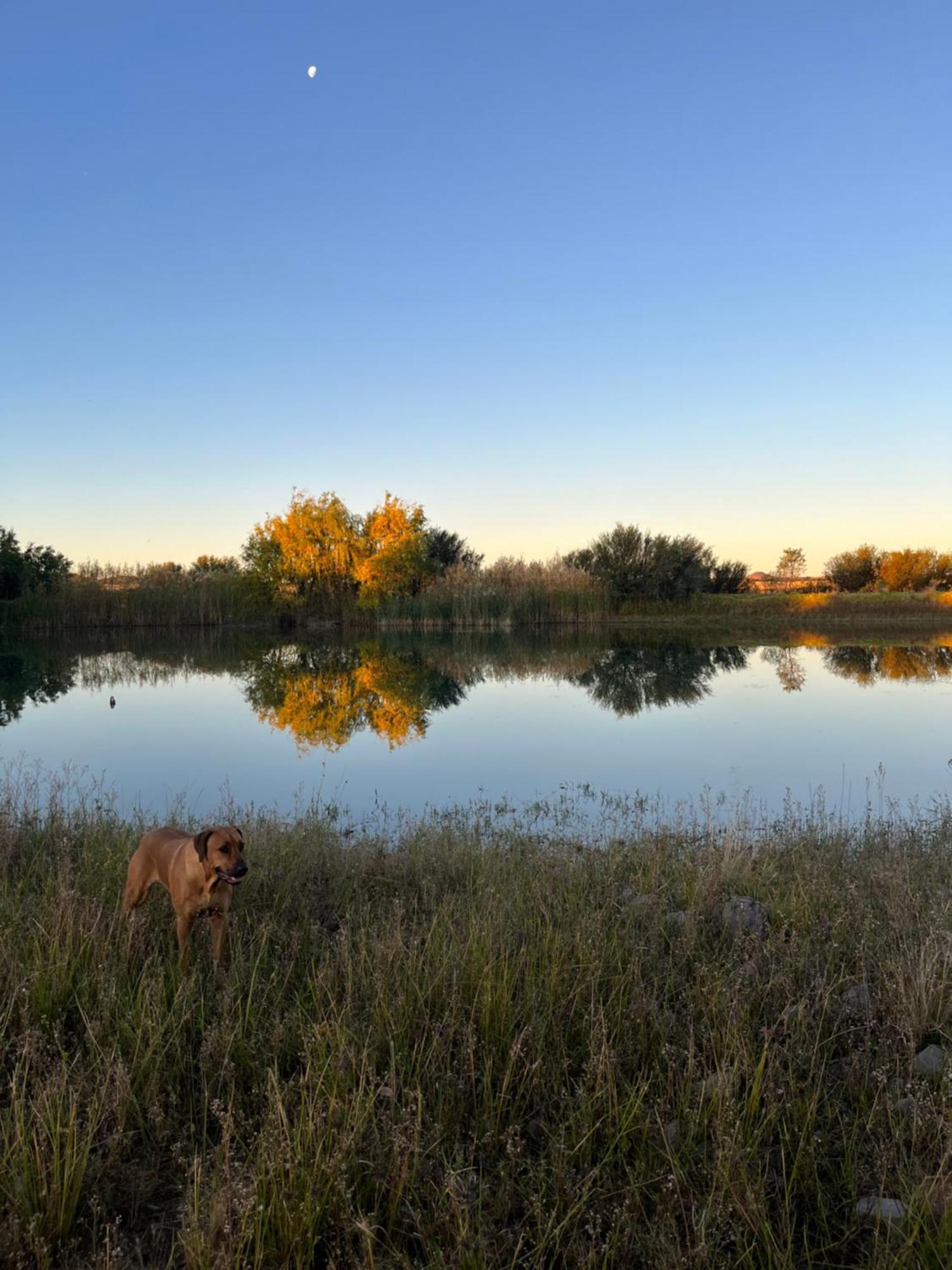 Tzamenkomst River Lodge Colesberg Εξωτερικό φωτογραφία